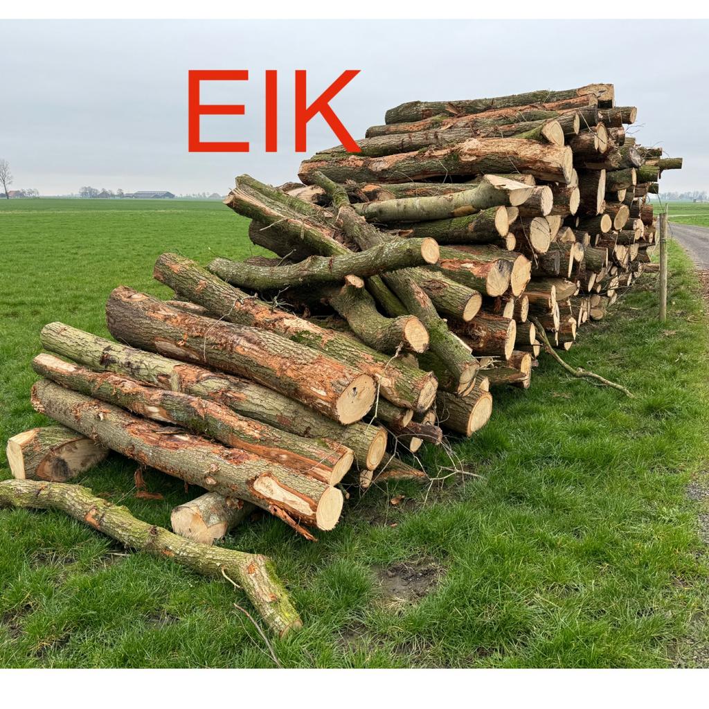 Eikenhout op stam., Tuin en Terras, Haardhout, Minder dan 3 m³, Ophalen, Eikenhout, Stammen