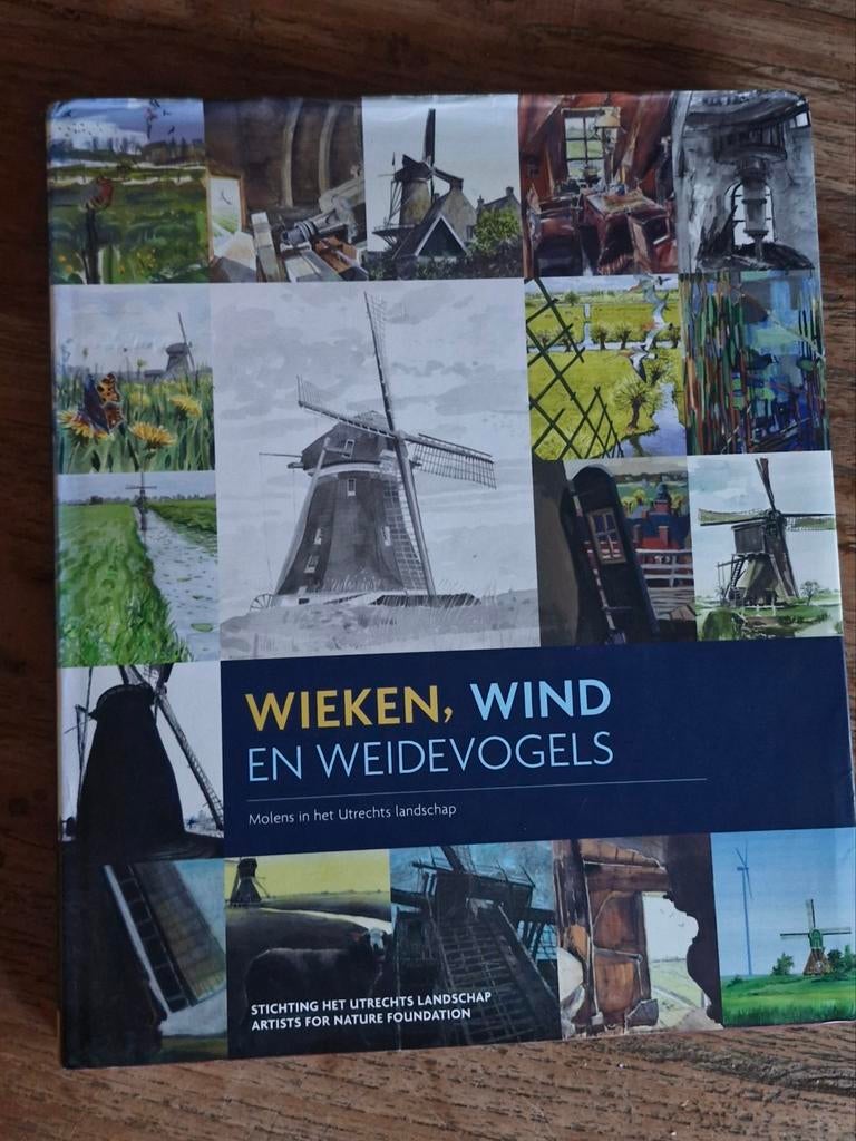 Boek: Molens in Utrecht - Kunst & Tekeningen, Ophalen of Verzenden, Gelezen, Onbekend, Utrecht