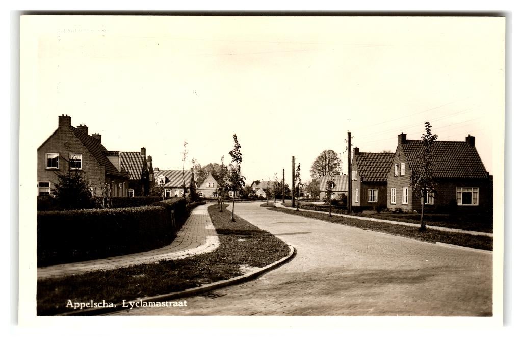 Appelscha, Lyclamastraat, Ophalen of Verzenden, 1940 tot 1960, Ongelopen, Friesland