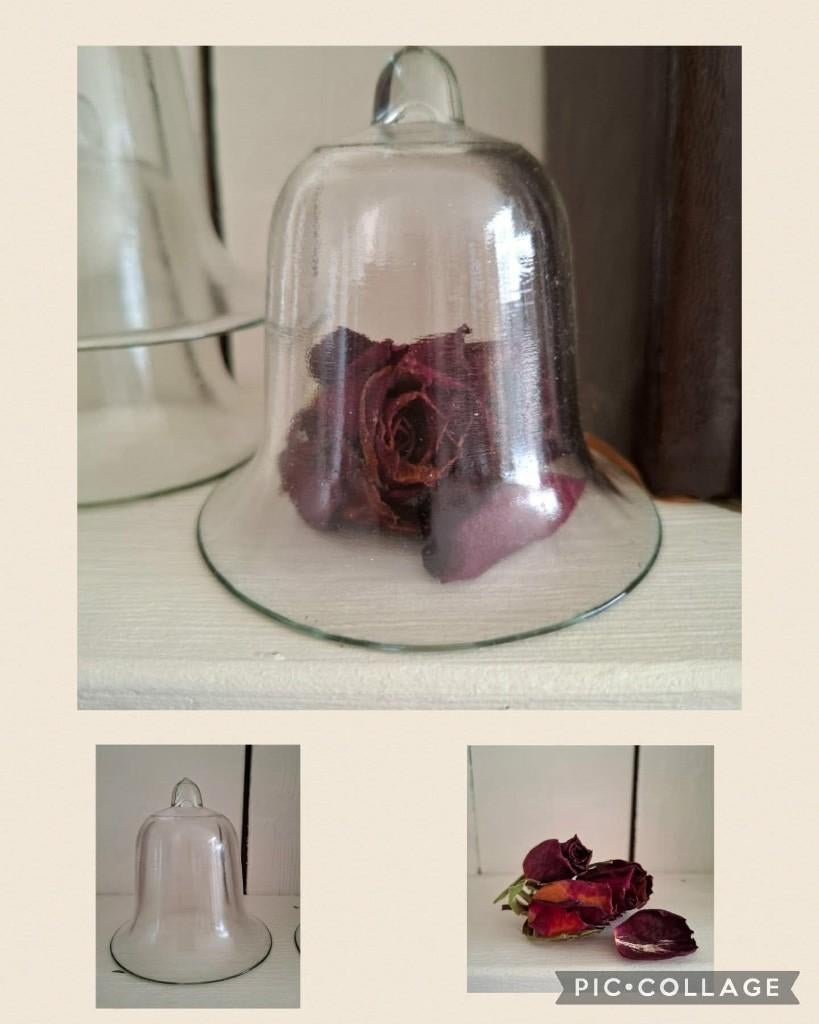 Super leuke glazen cloche., Antiek en Kunst, Ophalen of Verzenden