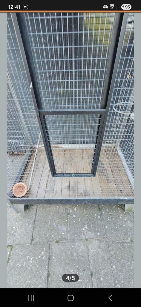 Vogel kooi 1.70 hoogte breedt 66 voor deel 1.10, Geslacht onbekend