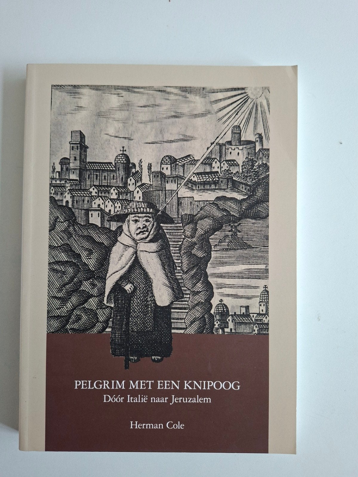 Pelgrim met een knipoog - Dóór Italië naar Jeruzalem, Overige merken, Ophalen of Verzenden, Zo goed als nieuw, Reisgids of -boek