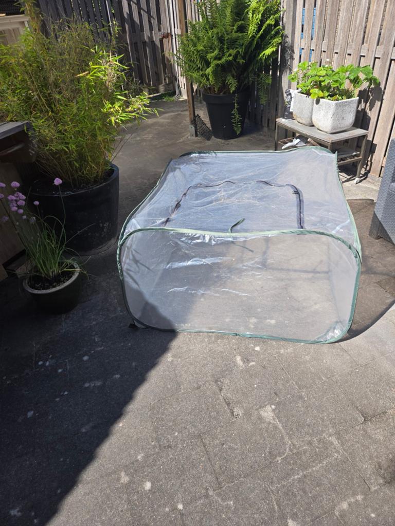 Te koop kweek kas, Ophalen of Verzenden, Glas, Aluminium