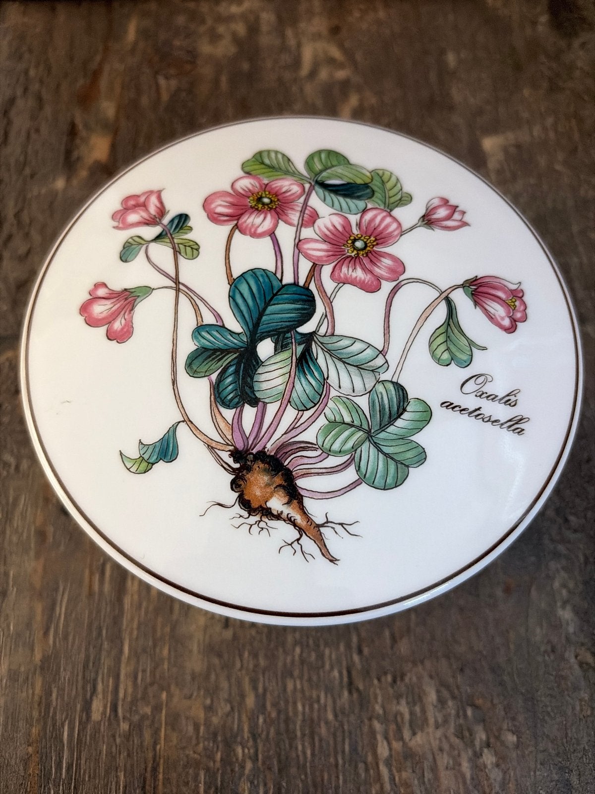 Villeroy & Boch Botanicus Oxalis Acetosella Doosje, Ophalen of Verzenden