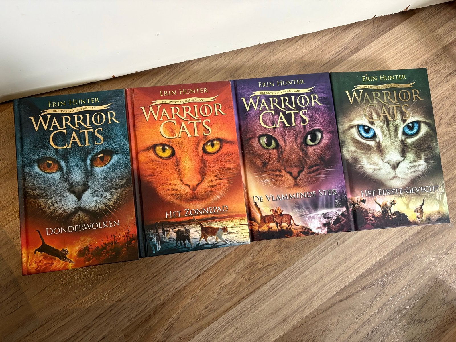 Warrior Cats Hardcover Boeken - Zo Goed Als Nieuw, Boeken, Ophalen, Zo goed als nieuw