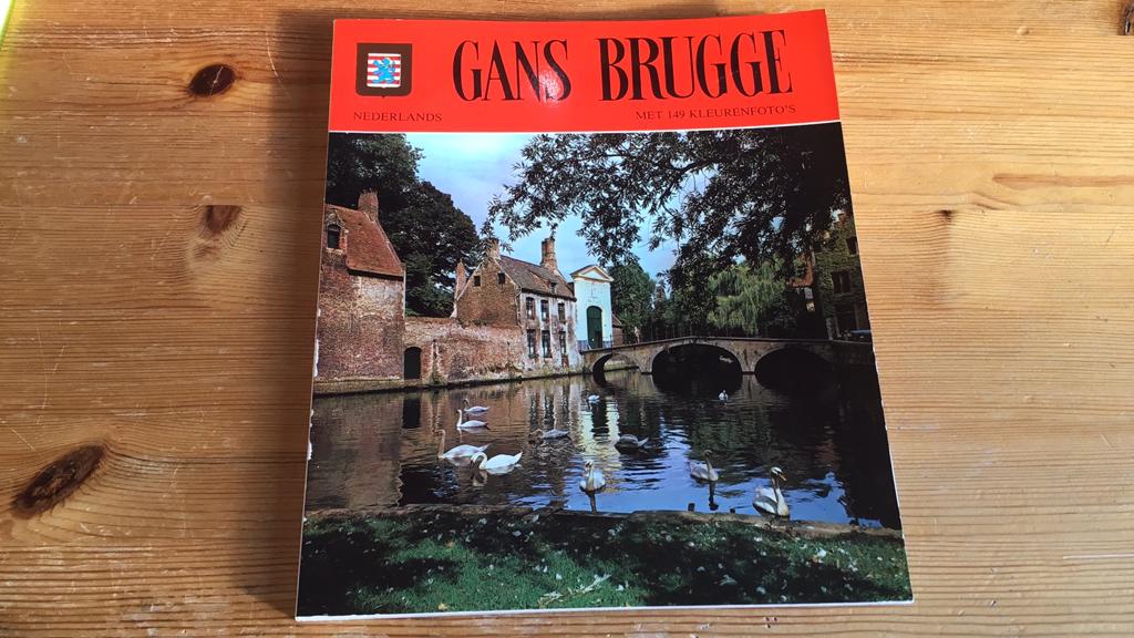 Gans Brugge, Boeken, Ophalen of Verzenden, Zo goed als nieuw, Architecten