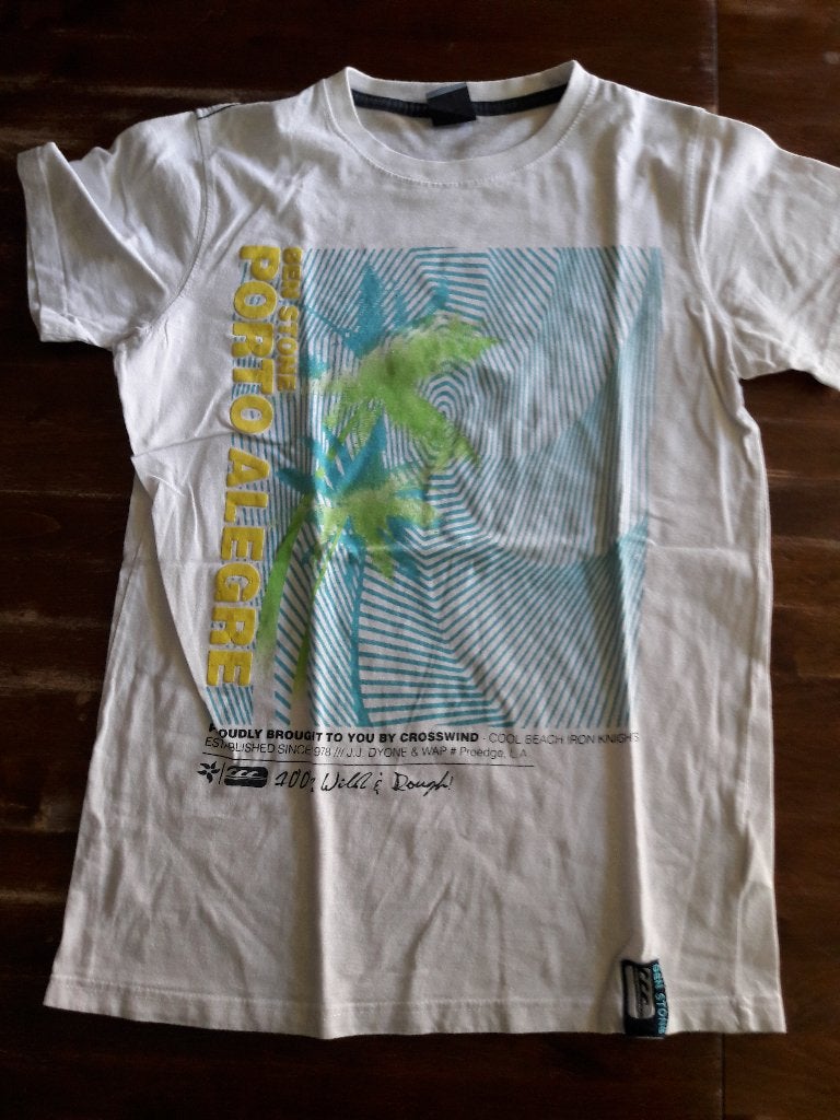 Wit T-shirt met print, maat 164, Ophalen of Verzenden, Gebruikt, Jongen, Shirt of Longsleeve