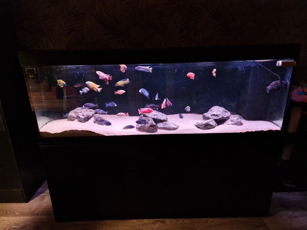 180x60x60 aquarium, Ophalen, Zo goed als nieuw, Leeg aquarium