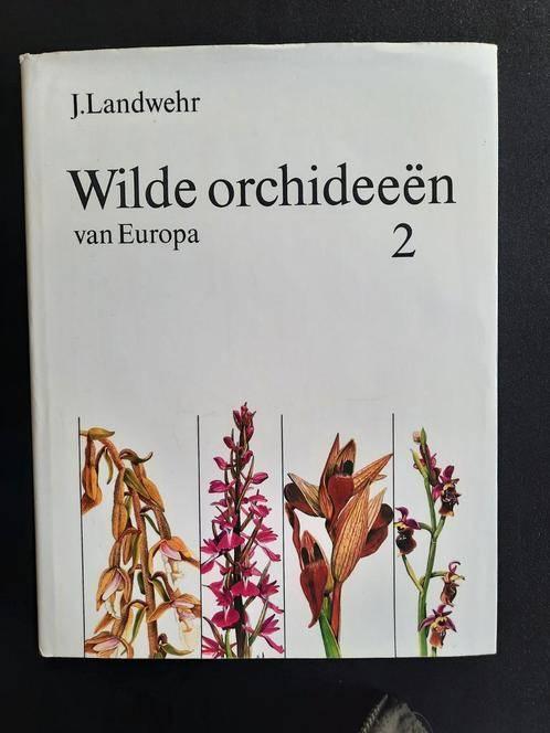Wilde orchideen van Europa. Deel 2 . J. Landwehr, Boeken, Natuur, Gelezen, Ophalen of Verzenden