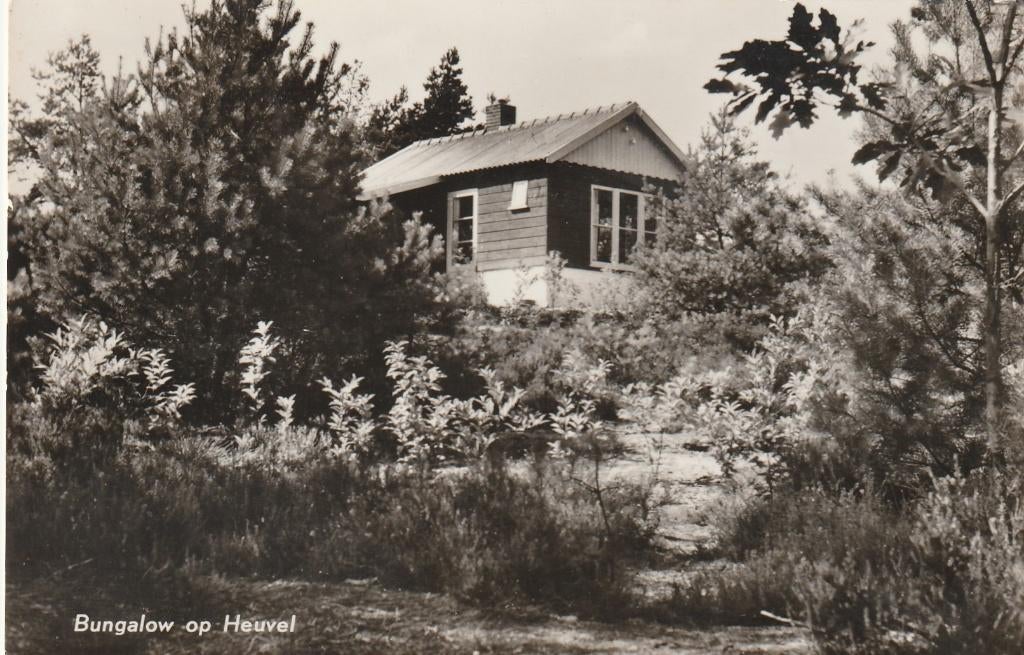 BEEKBERGEN Bungalow op Heuvel Vacantieoord Lierderholt, Verzenden, 1940 tot 1960, Gelopen, Gelderland