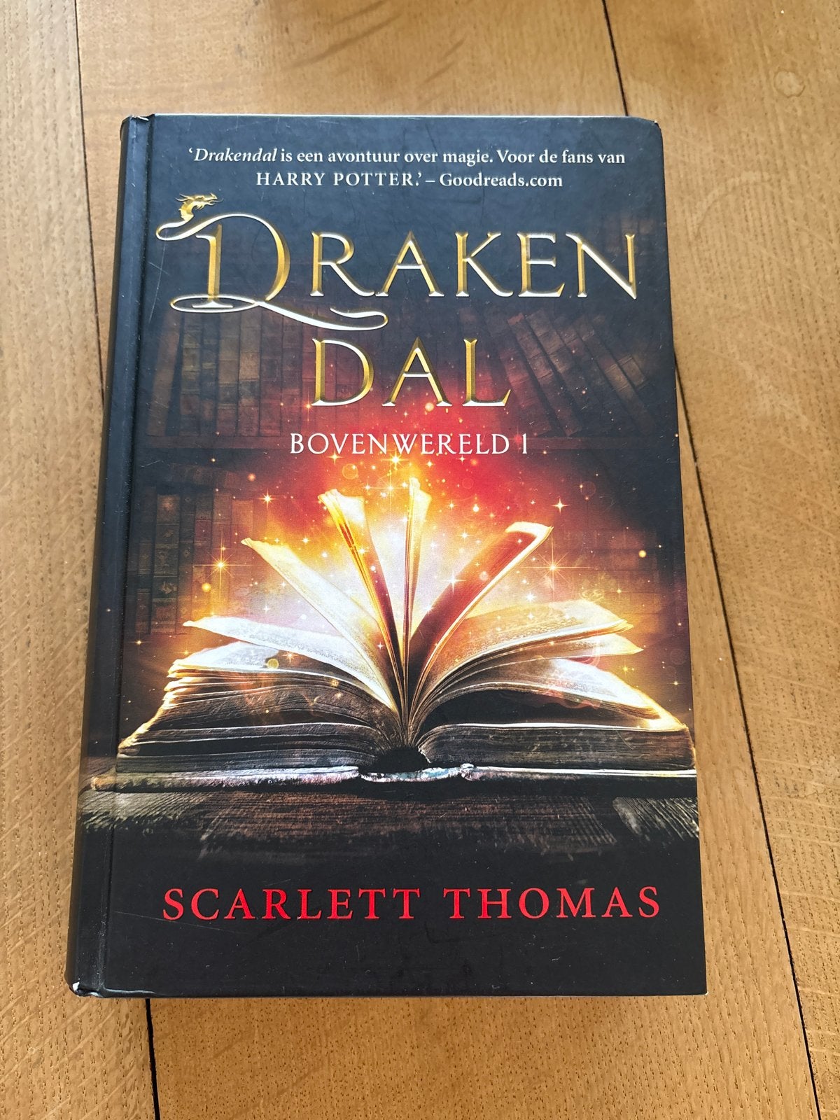 Draken Dal: Bovenwereld 1 - Scarlett Thomas, Boeken, Ophalen, Gelezen