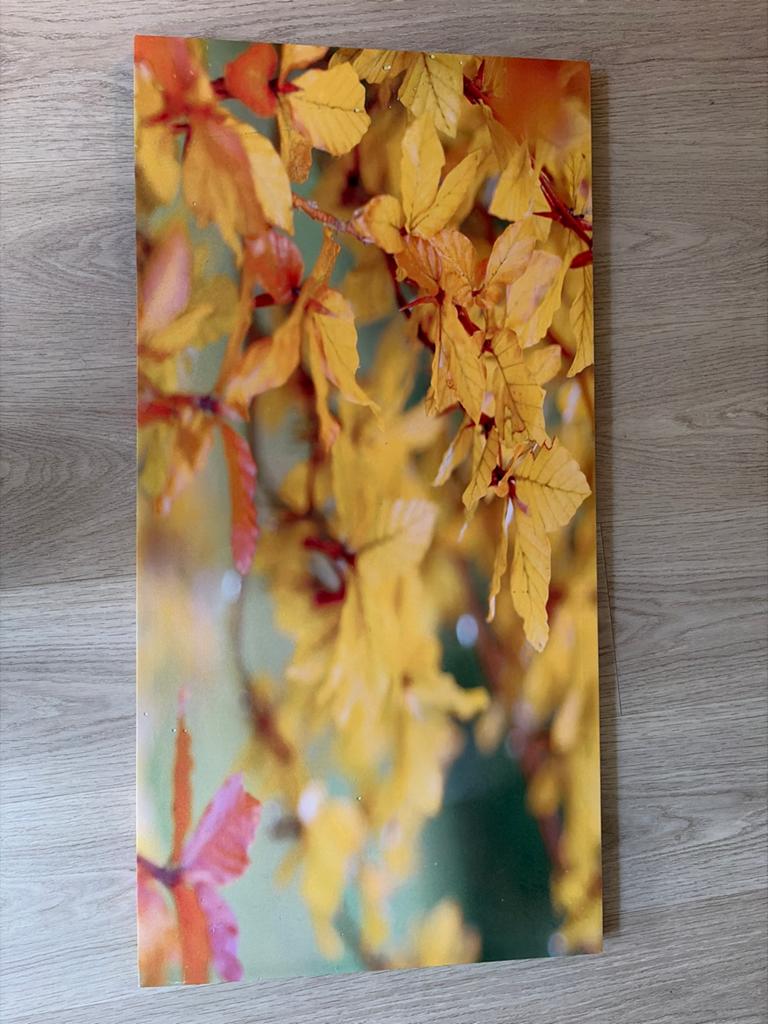 Schilderij van herfstbladeren in goede staat!, Antiek en Kunst, Kunst | Schilderijen | Modern, Ophalen