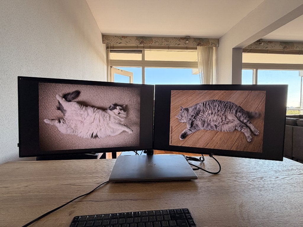 2x Dell UltraSharp U2421HE 24" + dubbele monitorarm, Computers en Software, Gebruikt, IPS, Full HD, Dell