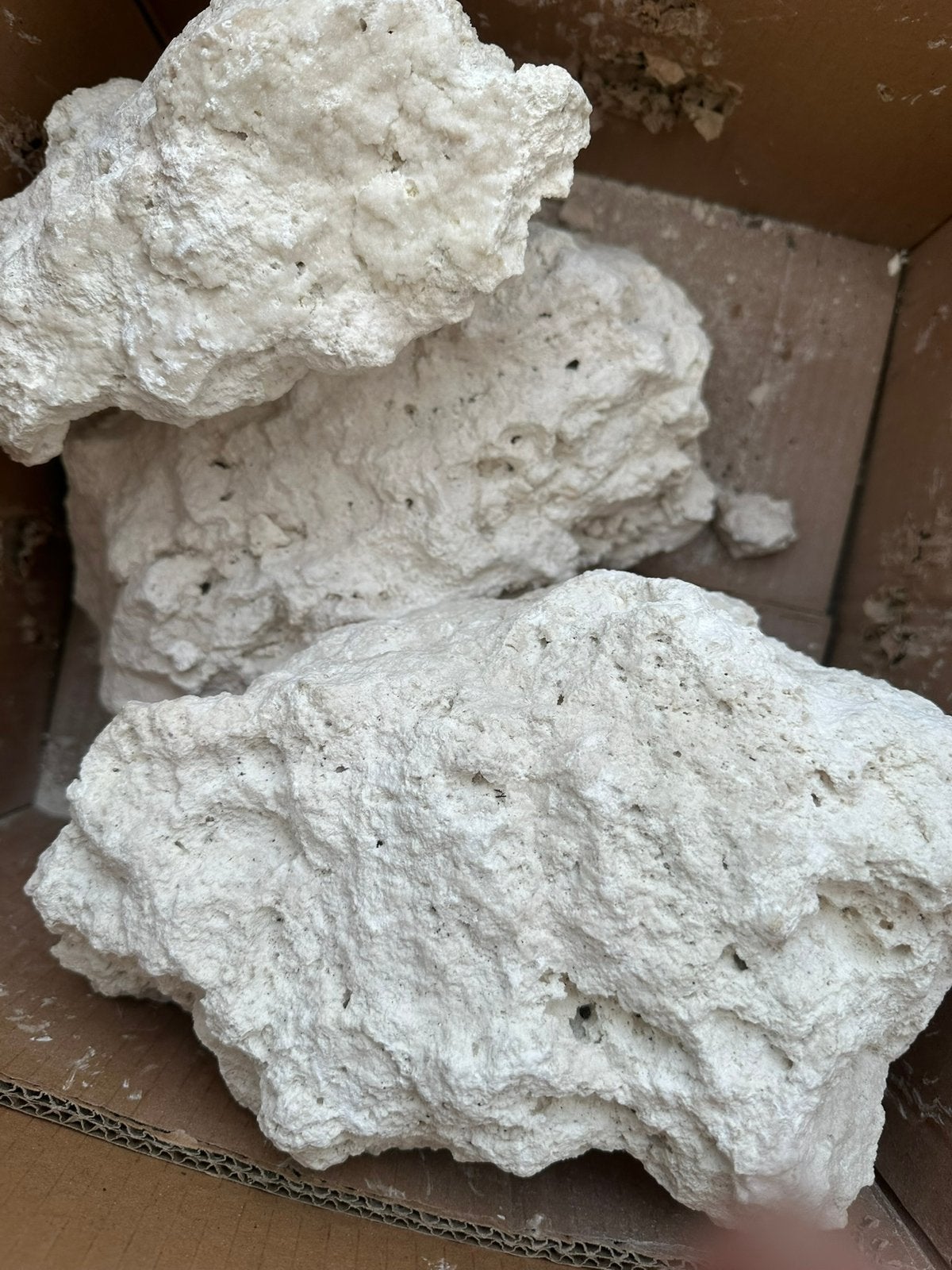3 grote witte stenen voor aquarium, Ophalen, Nieuw, Plant(en), Steen of Hout