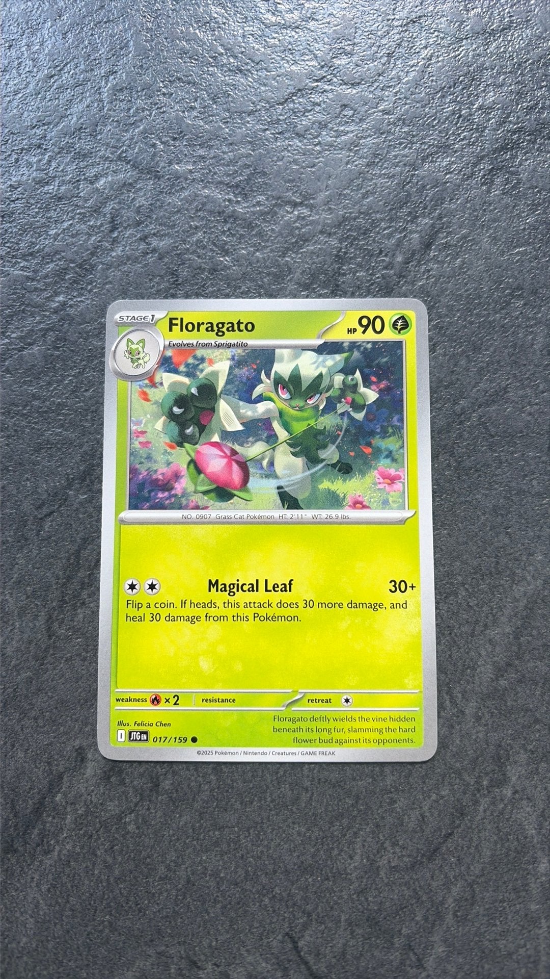 Floragato, Ophalen of Verzenden, Zo goed als nieuw
