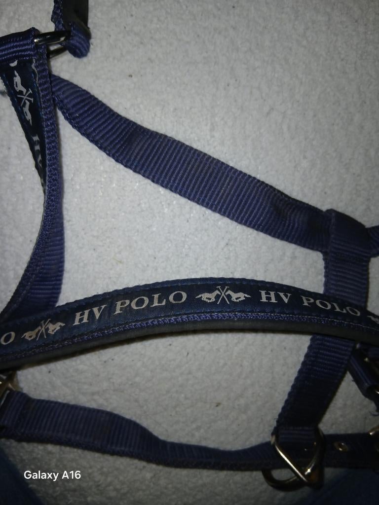 Best nieuwe hv polo halster full, Ophalen