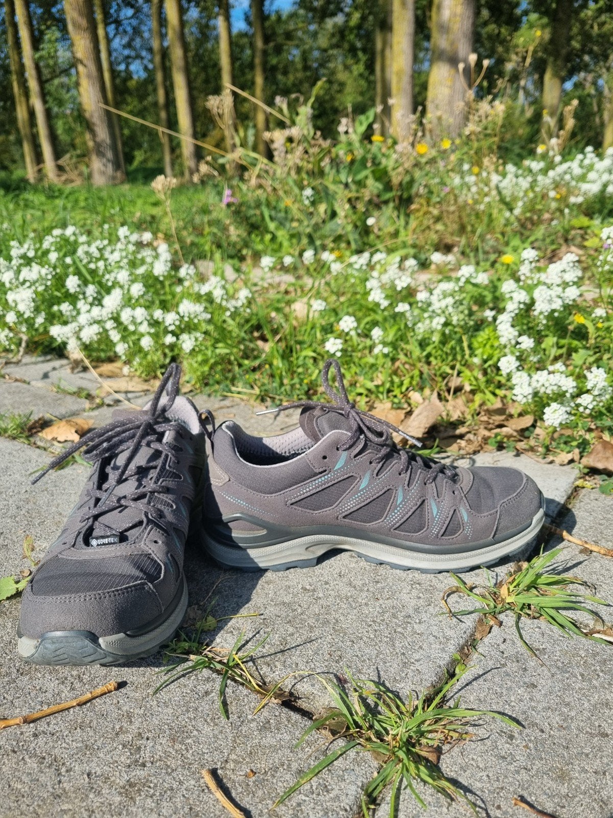 Dames Lowa wandelschoenen mt 39.5, Ophalen of Verzenden, Zo goed als nieuw, Schoenen