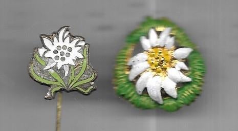 2 X EDELWEISS SPELDEN VERSCHILLENDE, Ophalen of Verzenden, Gebruikt, Dier of Natuur, Speldje of Pin