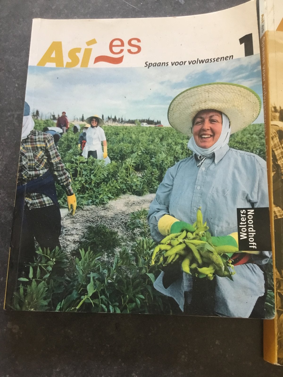 Así es Spaans voor volwassenen 1 leerboek Wolters Noordhoff, Boeken, Ophalen, Gelezen, Non-fictie