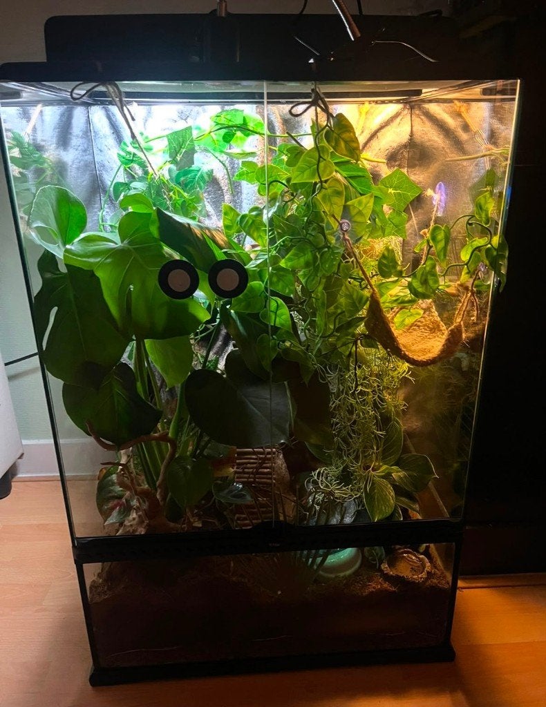 Paludarium / terrarium 60 x 45 x 90 cm, Dieren en Toebehoren, Reptielen en Amfibieën | Toebehoren, Ophalen, Gebruikt, Terrarium of Paludarium