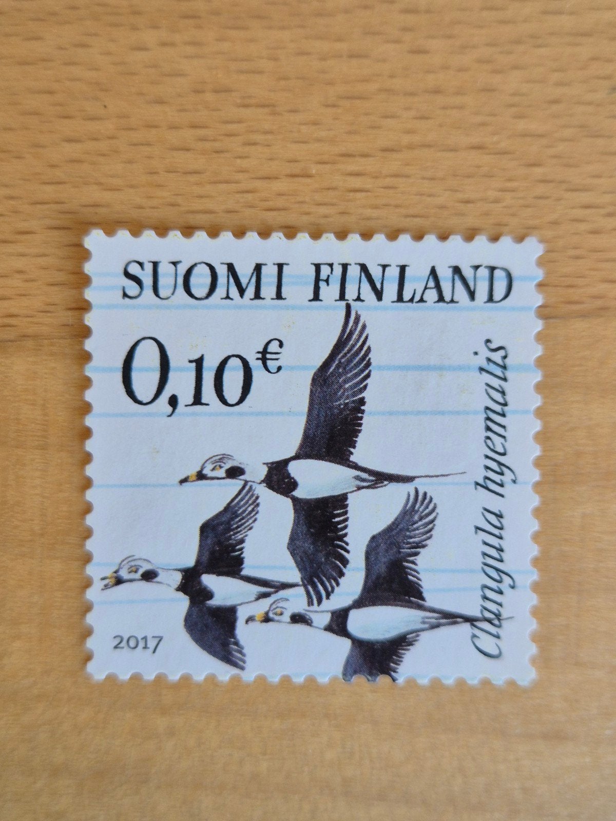 Finland 2017 trekvogels, Ophalen of Verzenden, Finland