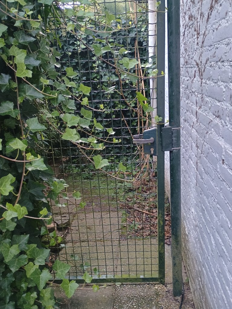 Te koop tuindeur /poort, Ophalen, Gebruikt, Buitendeur, Metaal