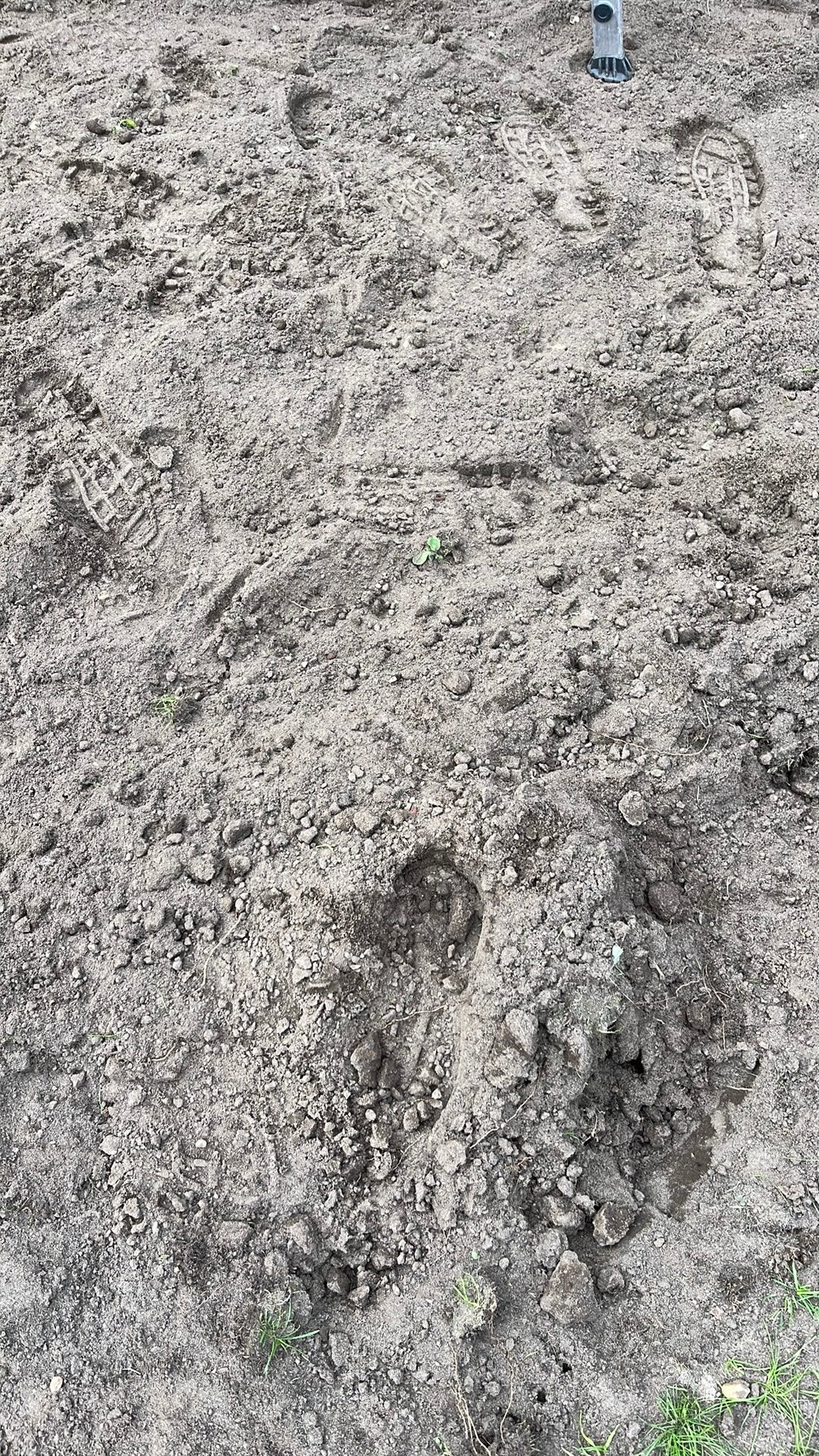 Zwarte grond gratis afhalen 1,5 / 2 kuub, Tuin en Terras, Ophalen, Gebruikt, Overige typen