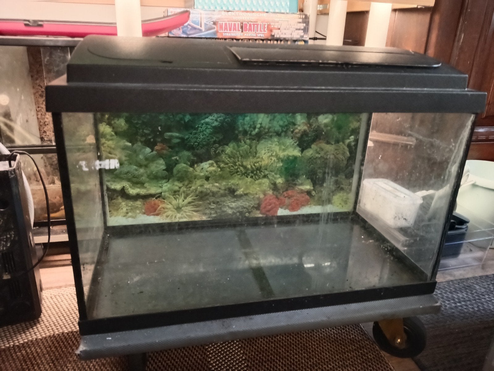 Grote aquarium, Dieren en Toebehoren, Vissen | Aquaria en Toebehoren, Ophalen, Gebruikt, Leeg aquarium
