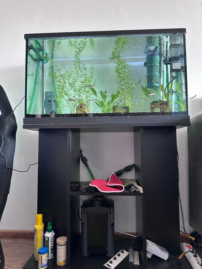 Aqarium met alles erbij, Dieren en Toebehoren, Vissen | Aquaria en Toebehoren, Ophalen, Gebruikt, Gevuld zoetwateraquarium
