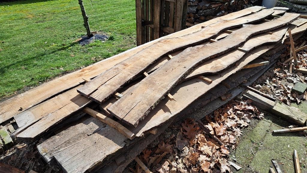 Schaaldelen (prunus serotina) bospest, amerikaanse vogelkers, Ophalen, 25 tot 50 mm, Nieuw, Plank