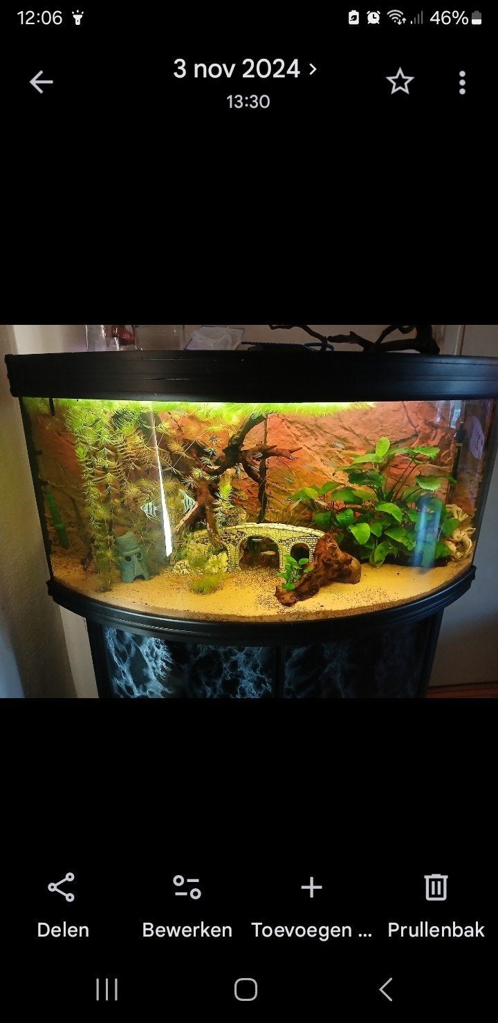 aquarium 1,20 met alle toebehoren.., Dieren en Toebehoren, Gebruikt, Aquatlantis, Gevuld zoetwateraquarium, Inclusief planten