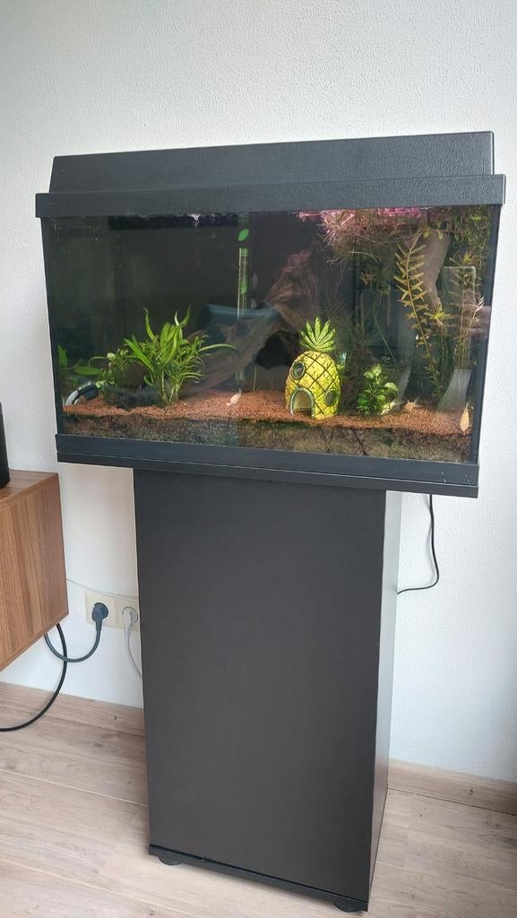 Juwel aquarium (60x30x30), inclusief meubel en accessoires, Ophalen, Gevuld zoetwateraquarium