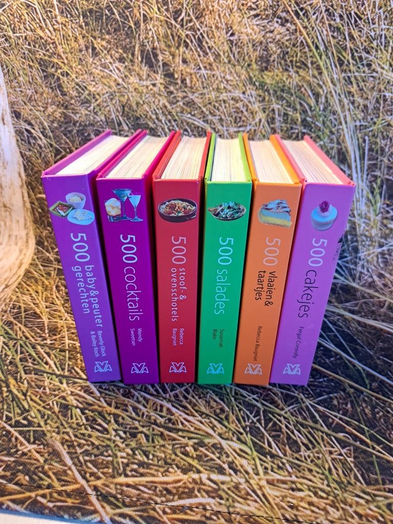 500 gerechten kookboeken  - 500 recepten boeken, Ophalen of Verzenden
