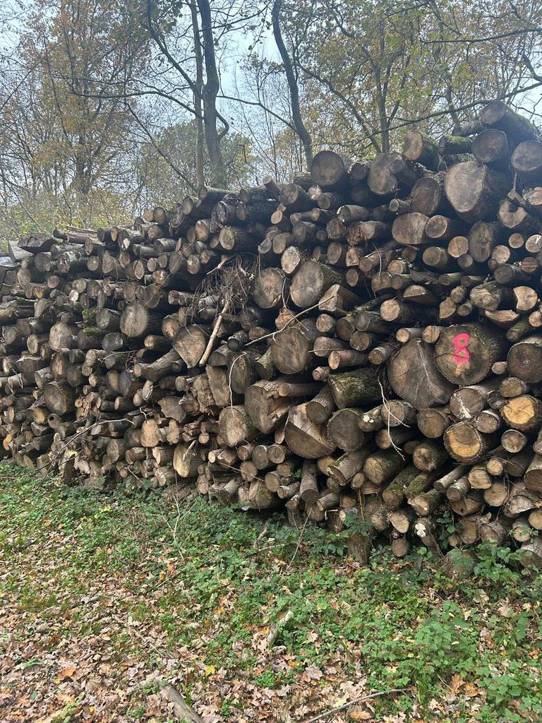 Foto 5 van Partij Openhaardhout/Brandhout/Kachelhout Boomstammen OP=OP