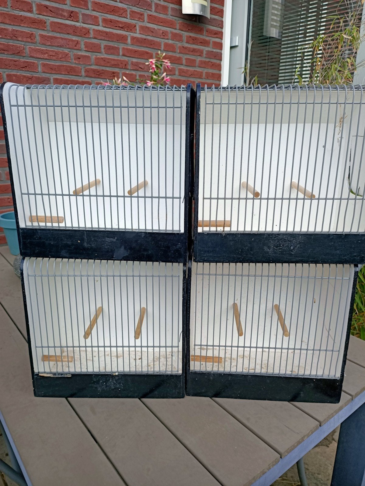 TT kooi vogel, Dieren en Toebehoren, Ophalen, Hout, Vogelkooi