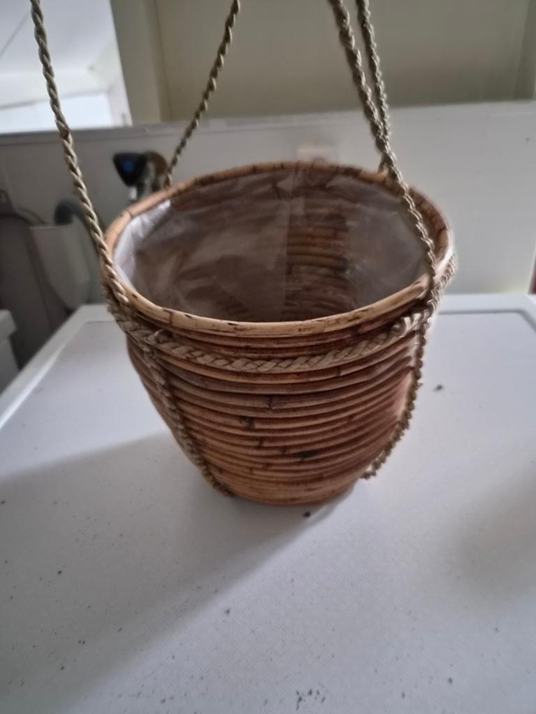 Planten hanger 20 cm, Ophalen, Halfschaduw, Minder dan 100 cm
