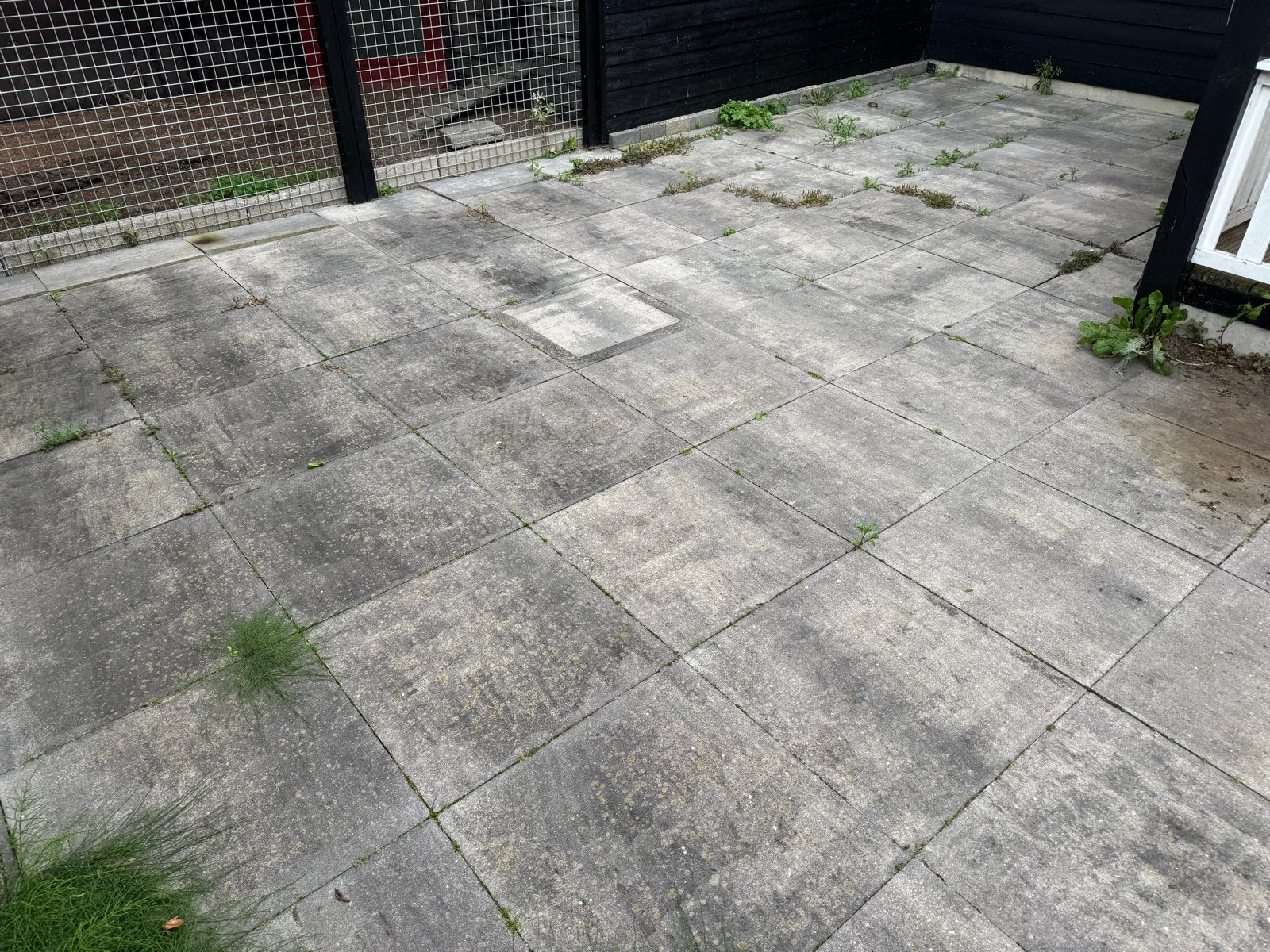 Gratis Betontegels 60x60x6 cm (100-150 stuks), Ophalen, Gebruikt, 10 m² of meer, Beton