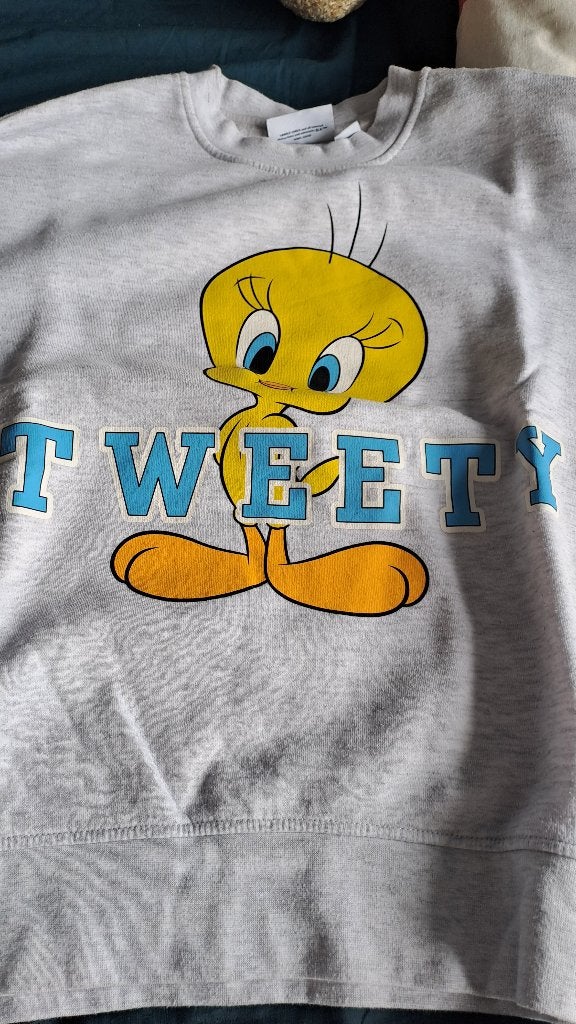 Looney tunes trui, Ophalen of Verzenden, Looney Tunes, Gebruikt, Kleding