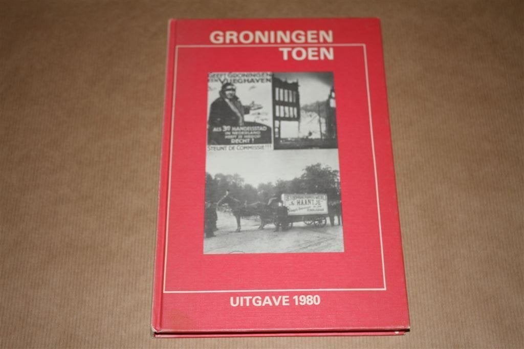 Groningen toen 1983., Ophalen of Verzenden, Gelezen