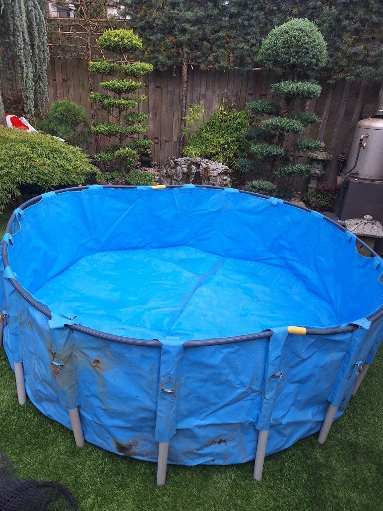 koi bowl, opzetbad  200 x 80 cm, Karper of Koi
