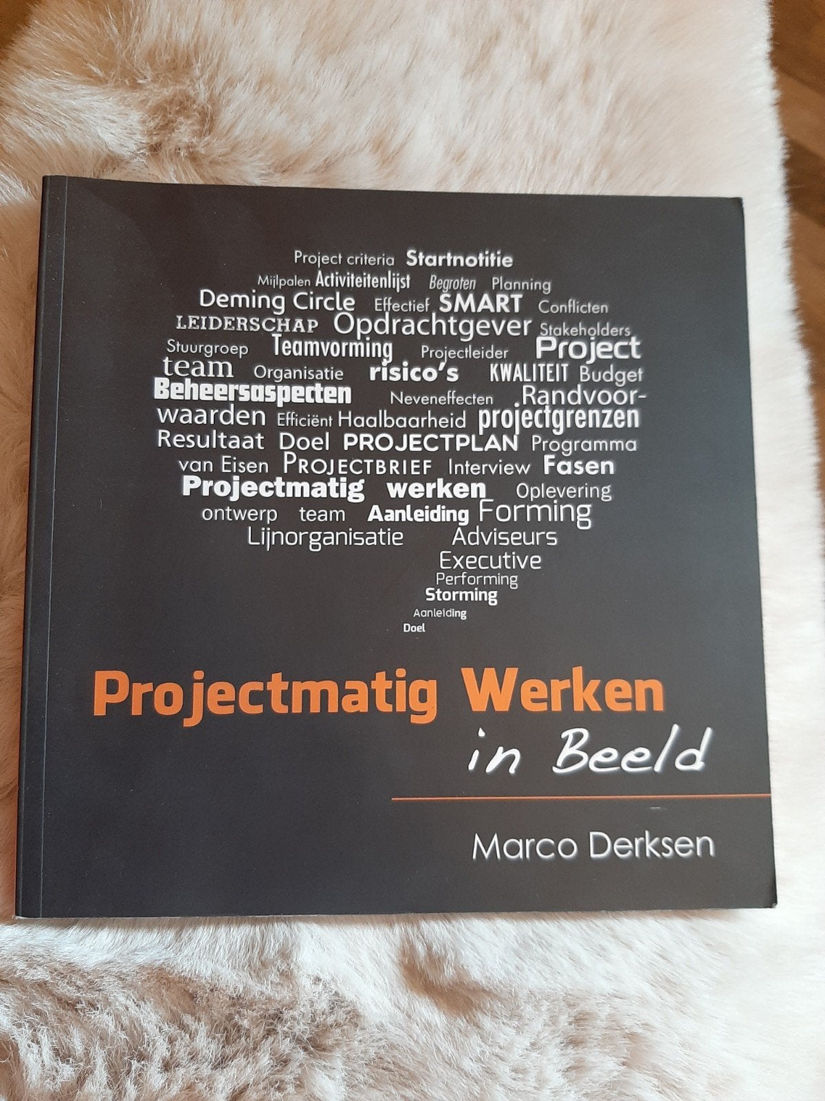 Projectmatig Werken in Beeld - Marco Derksen, Ophalen of Verzenden, Zo goed als nieuw, Marco Derksen, MBO