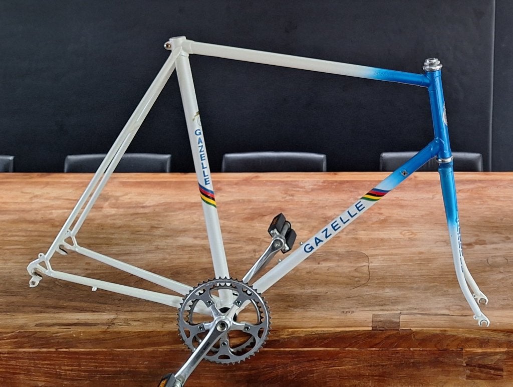 div racefiets mountainbike mtb onderdelen Gazelle Campagnolo, Ophalen of Verzenden, Stadsfiets, Frame, Carbon