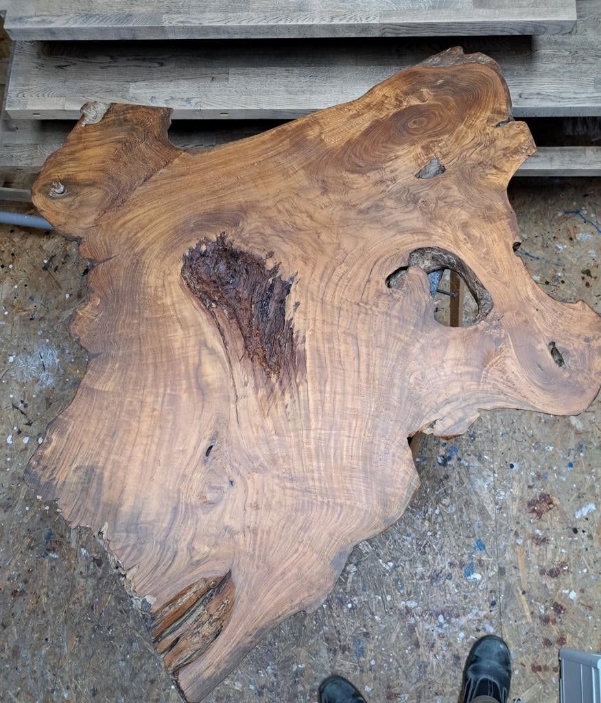 Boomstamschijf geschuurd en geolied - 1250x1060x50mm, Ophalen of Verzenden, Nieuw