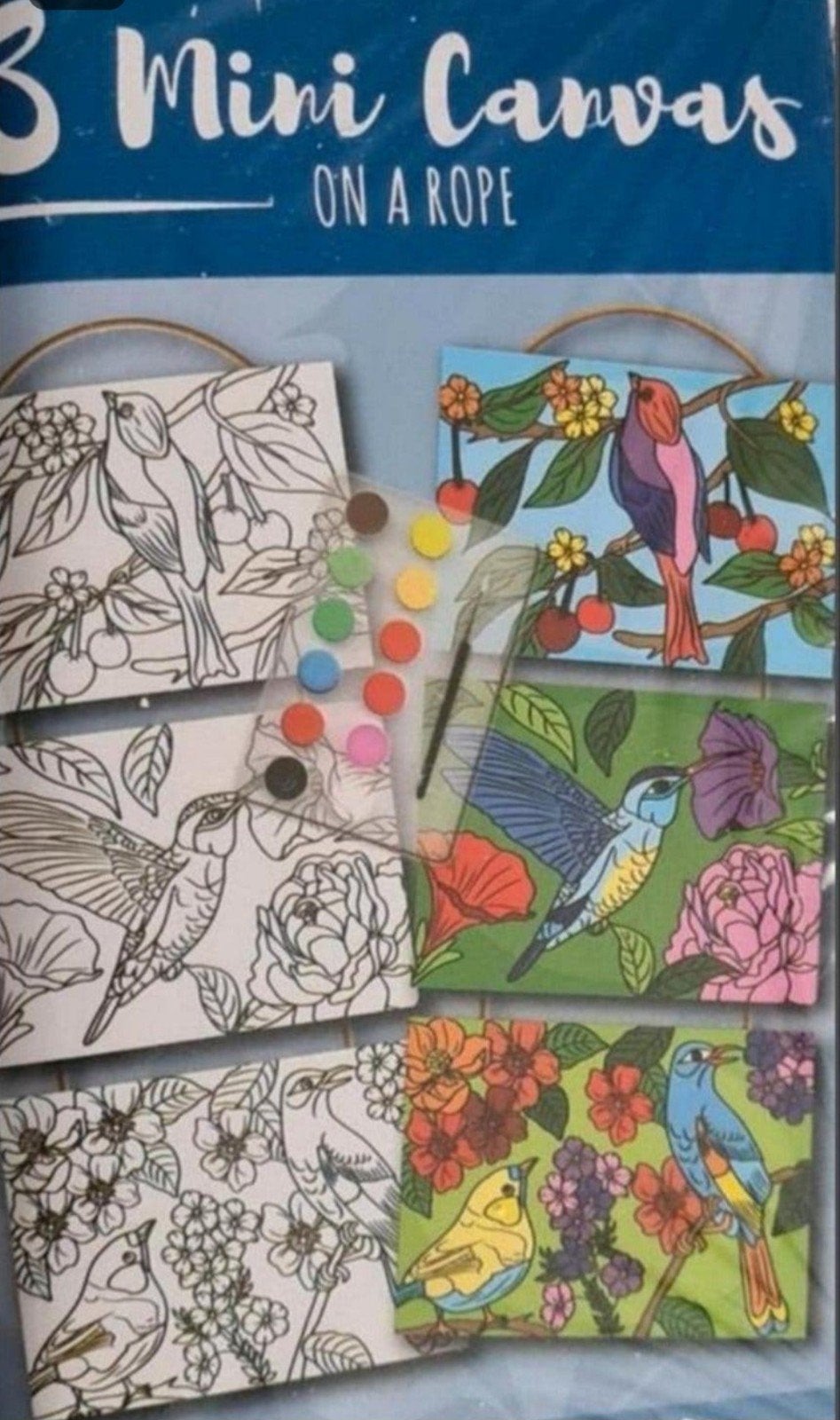 Mini Canvas on a rope "vogels", Ophalen of Verzenden, Nieuw