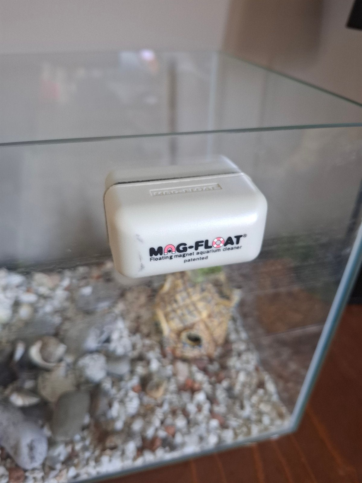 MAG-FLOAT magnetisch aquarium cleaner, Dieren en Toebehoren, Vissen | Aquaria en Toebehoren, Ophalen of Verzenden, Leeg aquarium