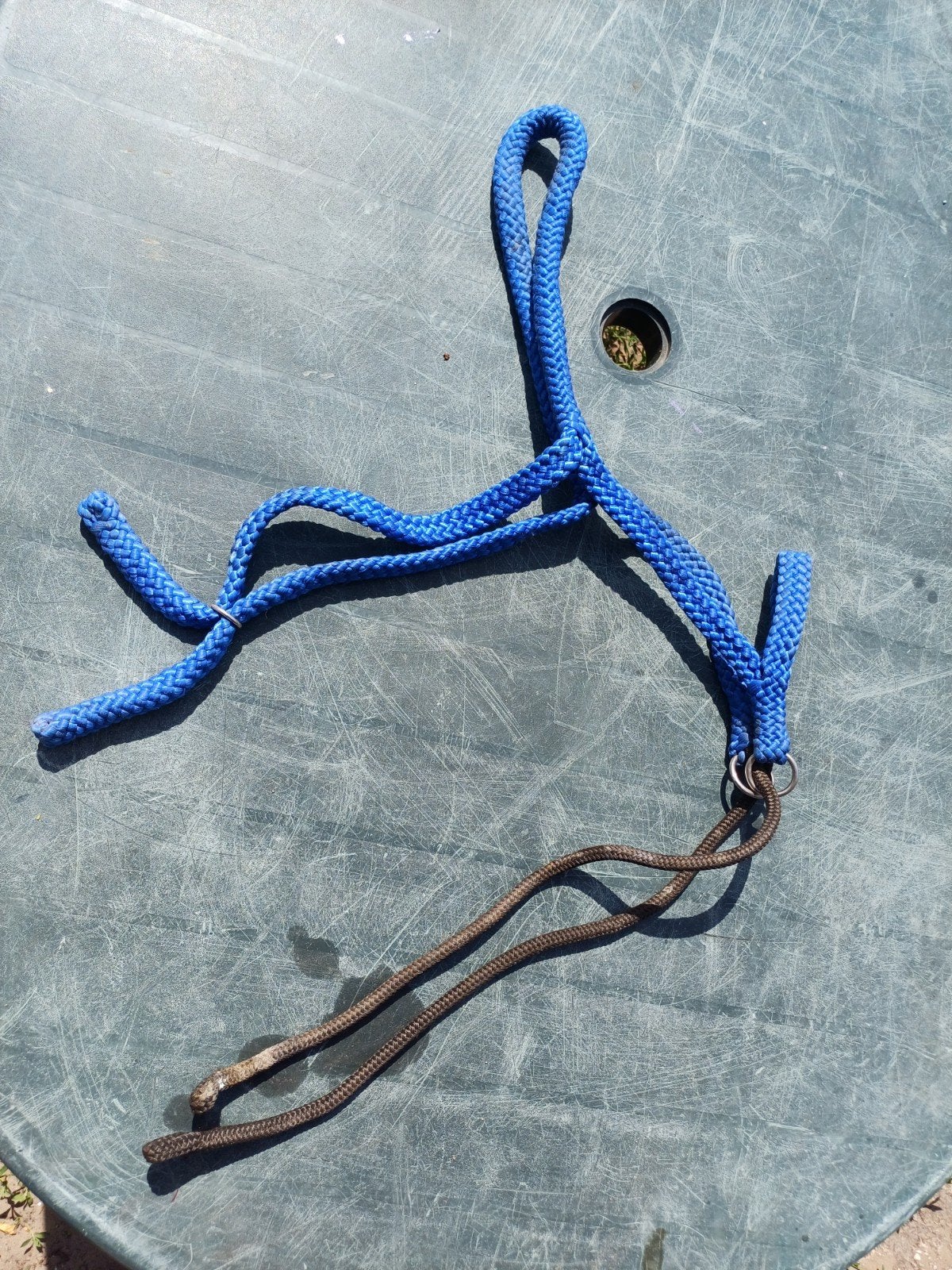 Touwhoofdstel maat D pony, Dieren en Toebehoren, Ophalen, Hoofdstel, ., Pony