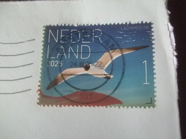 Nederland onafgeweekt nvph 4258, Verzenden, Na 1940, Gestempeld