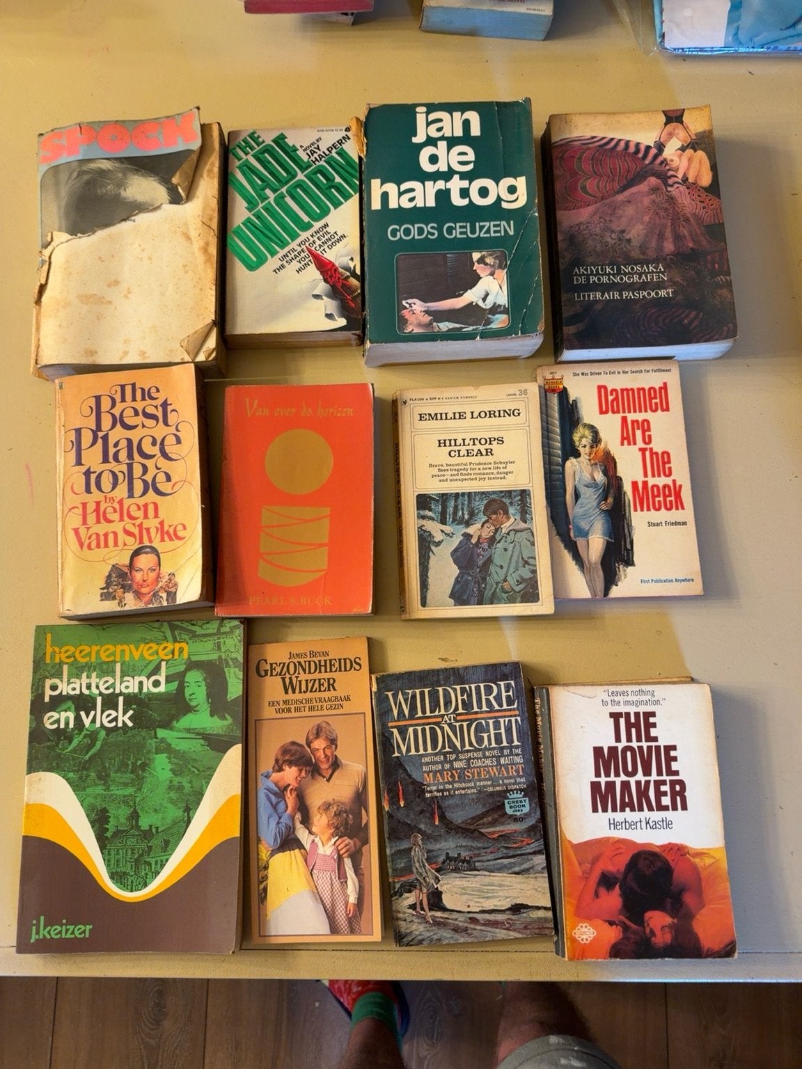 Diverse leesboeken: 12 titels in één koop, Boeken, Romans, Ophalen, Gelezen