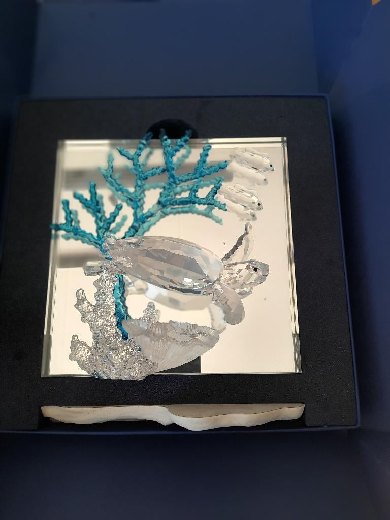 Swarovski. Wonders of the sea Eternity met box/certificaat, Verzamelen, Swarovski, Ophalen, Nieuw, Figuurtje