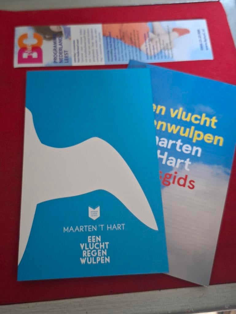 Maarten 't Hart - Een vlucht regenwulpen (Gesigneerd), Ophalen of Verzenden, Zo goed als nieuw, Maarten 't Hart, Nederland